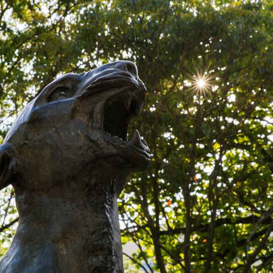 Luar do Sertão, conhecida como Jaguar