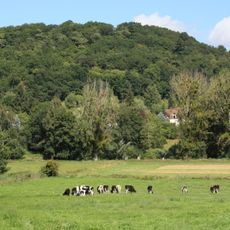 Réserve naturelle régionale du val et coteau de Saint-Rémy