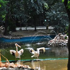 Varna Zoo