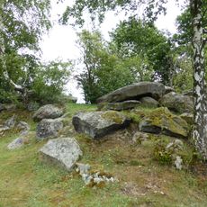 Amphibienvorkommen am Pfahl bei Ried am Pfahl