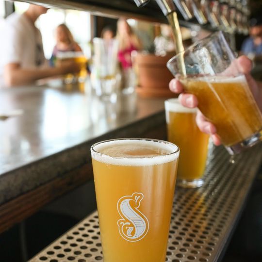 Seventh Son Brewing Company