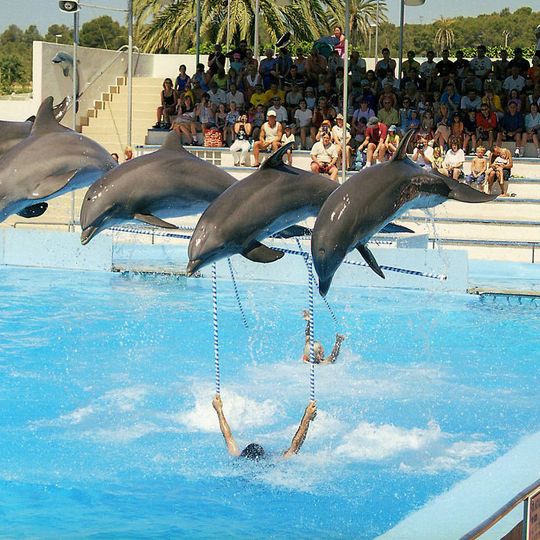 Marineland w Calvià