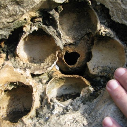 Geosite Travertino della Cava Cappuccini