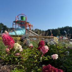 Park Wodny Polanica-Zdrój