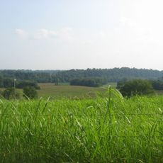 Tebbs Bend battlefield