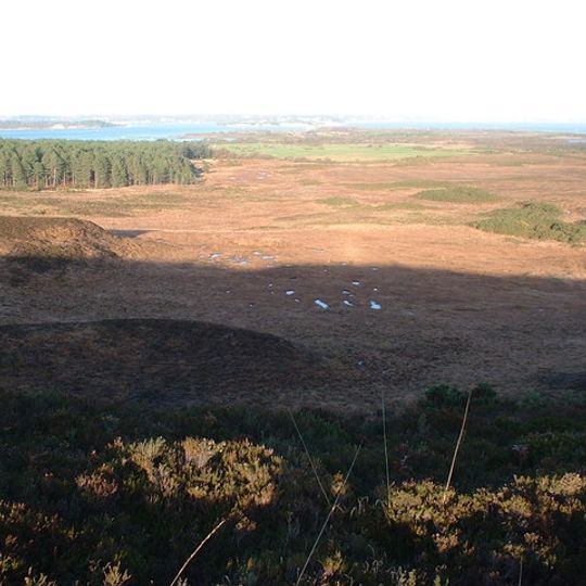 Studland and Godlingston Heath National Nature Reserve