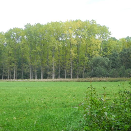 Stadtbruch von Volkmarsen