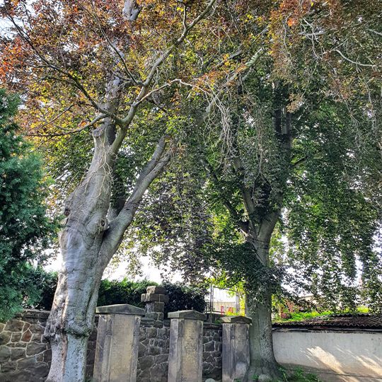 Einzeldenkmale der Sachgesamtheit Friedhof Mutzschen: Friedhofskirche, Friedhofsgärtnerhaus und Leichenhalle, Kriegerdenkmal für die Gefallenen des 1. Weltkrieges, VVN-Denkmal