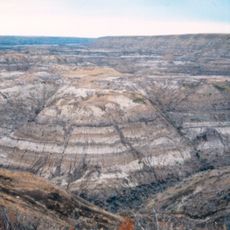 Horseshoe Canyon Formation