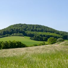 LSG-Loessgepraegte Mittelhangzone von Brunsberg,Mittelberg,Luedge Berg,Langer Berg  und Herbremer Holz