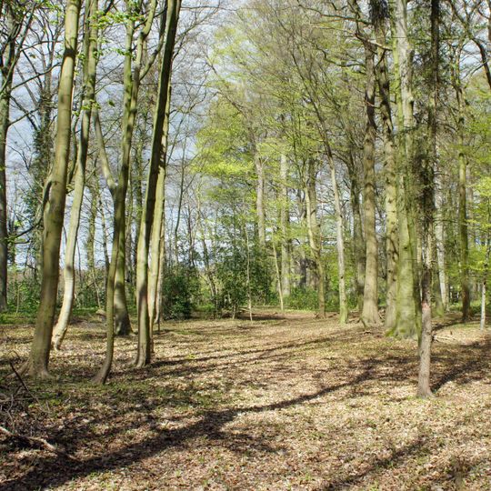 Großer und kleiner Baumhof