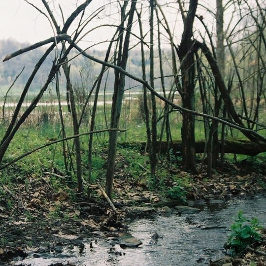 Ryerson Station State Park