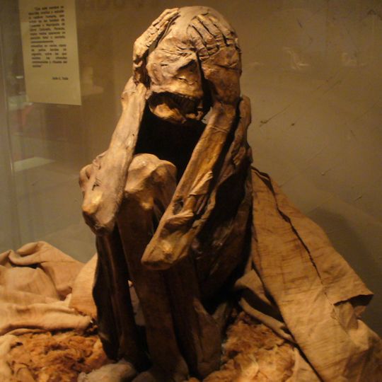 Museo de Sitio de Wari