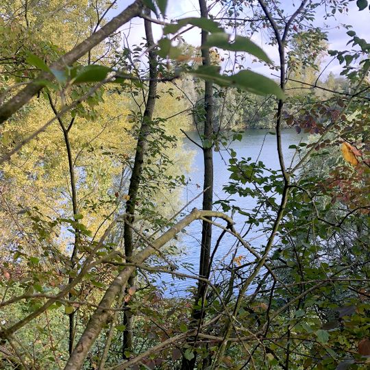 NSG Altabgrabung Klingenberger <D>