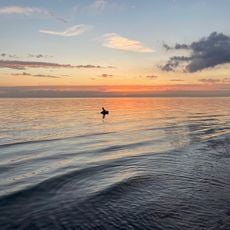 Svanebäcksstranden