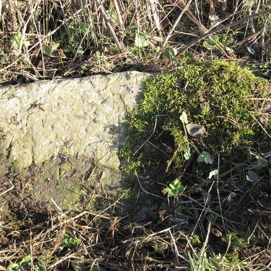 Milestone At Ngr So 3214 9845