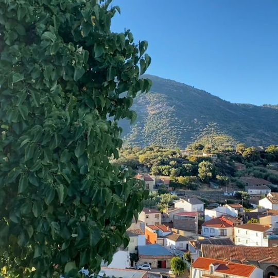 Hinojosa de San Vicente