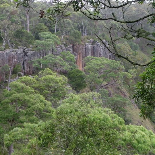 Guy Fawkes River National Park