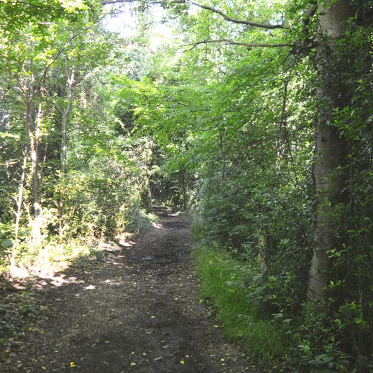 Pound Wood