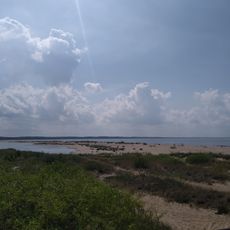 Platforma Widokowa