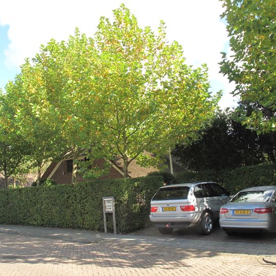 Grote Kerkstraat 10, Aalburg