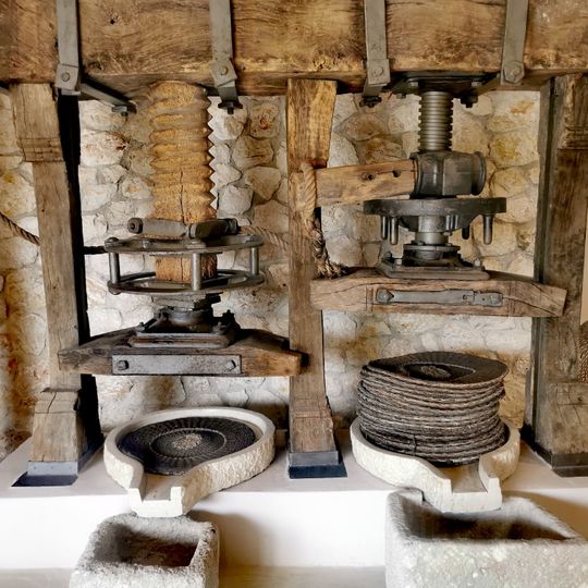 Enotis - Olive Groves & Museum