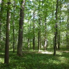 Bažantnice v Uhersku