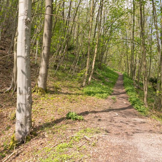 NSG Iburg-Aschenhuette