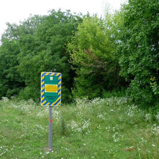 Алея горіха волоського