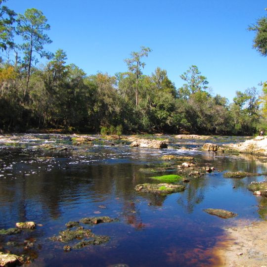 Big Shoals State Forest