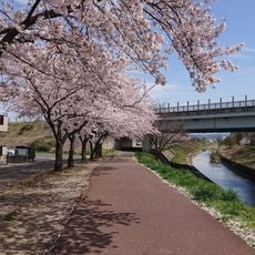 富田親水広場