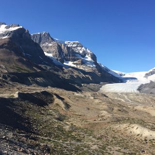 Columbia-Gletscher (Alberta)