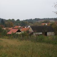 Zderadice