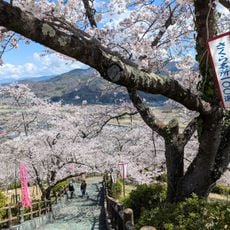 Oboshi Park