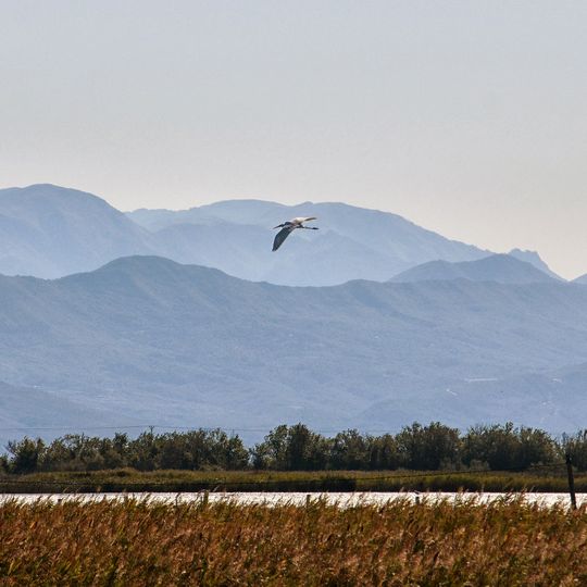 Reserva natural Kune-Vain-Tale