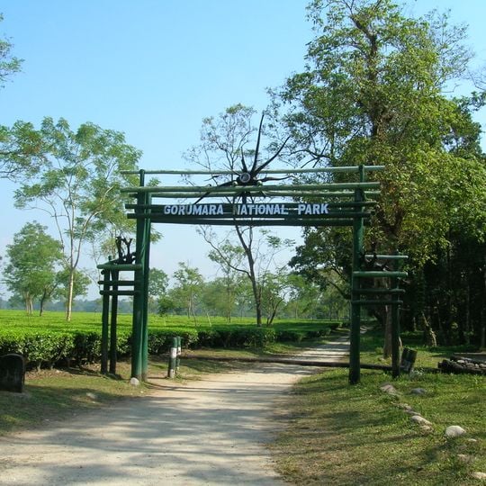 Parque Nacional Gorumara