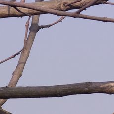 Sakteng Wildlife Sanctuary
