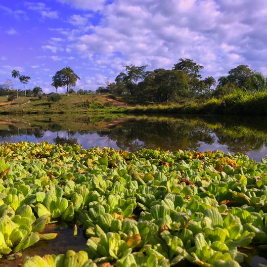 Parc national Otuquis