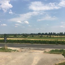 Erweiterung Laubenheimer - Bodenheimer Ried