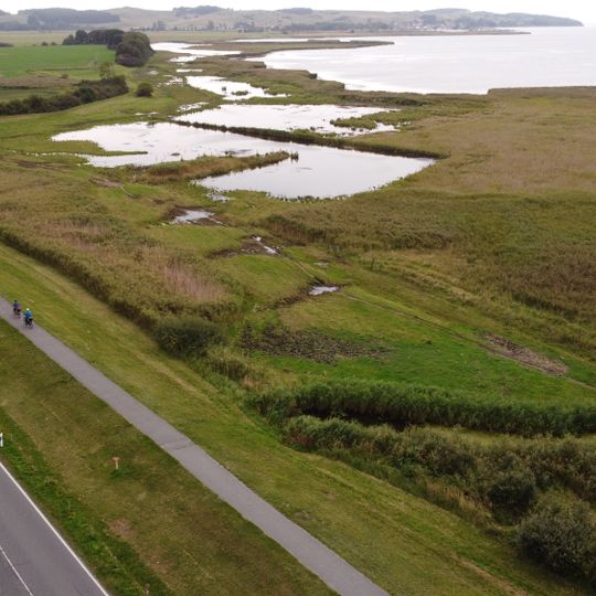 Salzwiesen bei Middelhagen