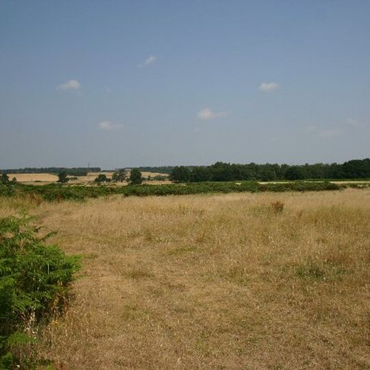 Barnham Heath