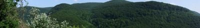 Panoramic View 0