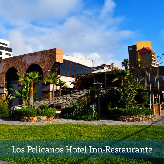 Los Pelicanos