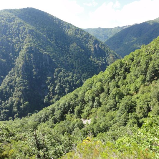 Reserva natural integral de Muniellos