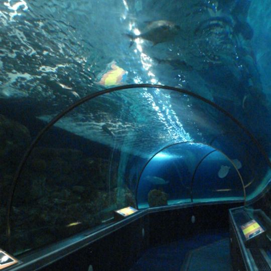 SEA LIFE Minnesota Aquarium