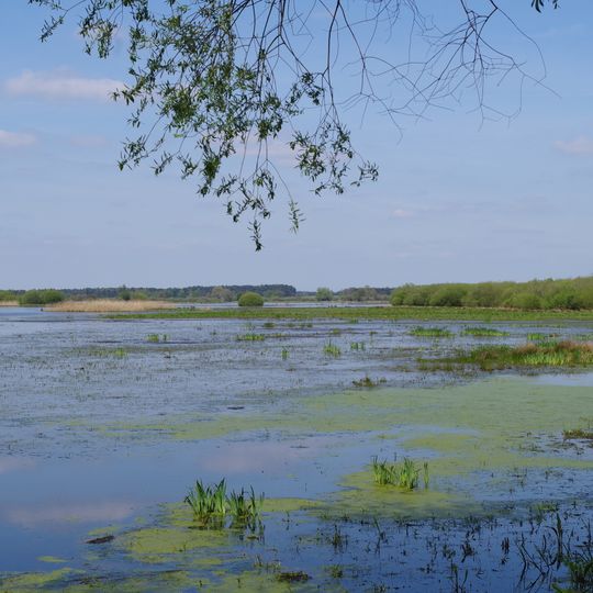 Westufer Steinhuder Meer