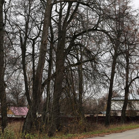 Ансамбль усадьбы Акинфовых