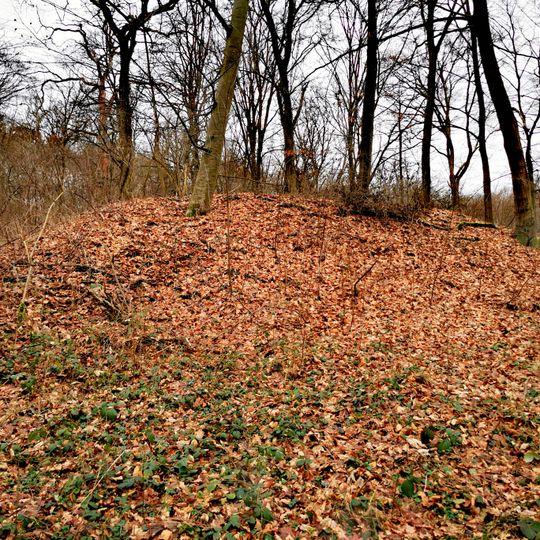 Bunker 164 Dettingen