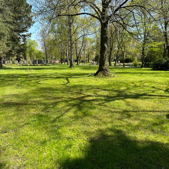 Orchideenwiese Hauptfriedhof