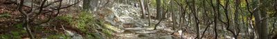 Panoramic View 2